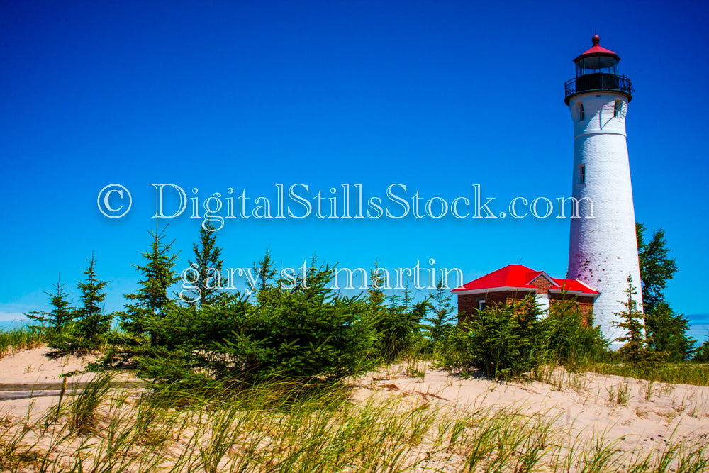 The Lighthouse amongst the green pine trees, digital Crisp Point