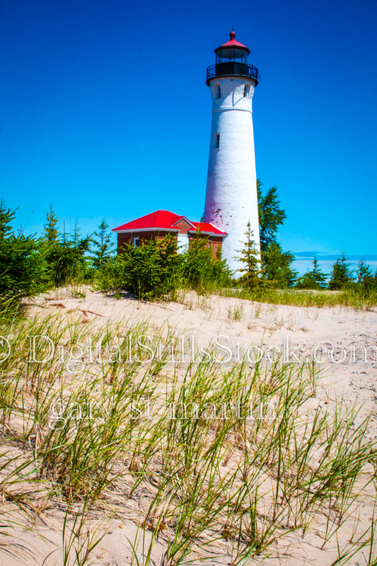 Weeds blowing in the wind in front of the Lighthouse, digital crisp point