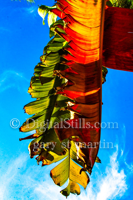 V2 Banana Leaf Orange And Green Digital, Scenery, Flowers