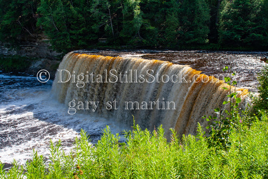 Tahquamenon falls behind tall green grass, digital Tahquemon fall