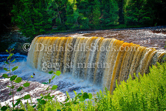 The bright mix of colors flowing from Tahquamenon falls , digital Tahquamenon falls