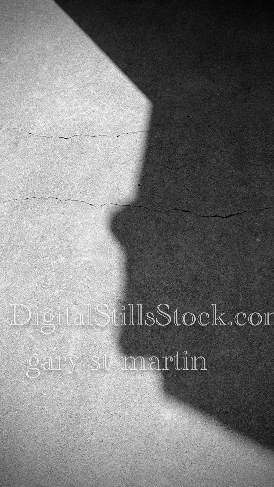 Dilbert, digital shadow art