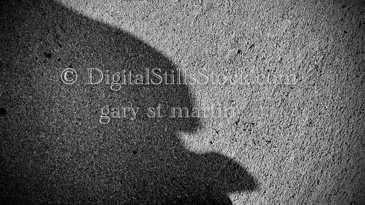 Brick Man, digital shadow art