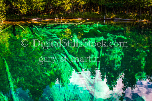 Looking at the bottom of the lake, Springs, digital Big Springs