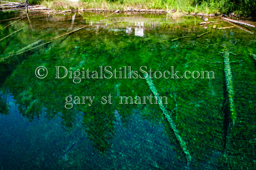 Shades of green, Big Springs, digital big springs