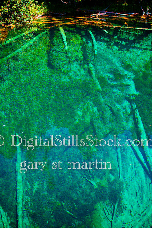 Crystal Clear water looking at the logs at the bottom, Big Springs, digital Big Springs