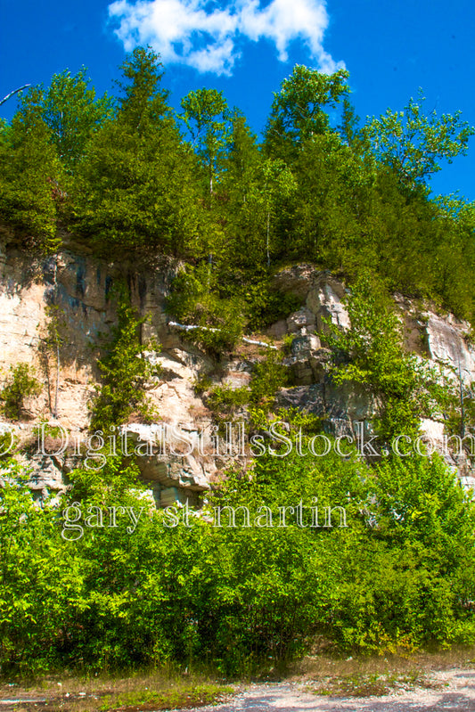 Big green trees on the cliffs, digital FAyette