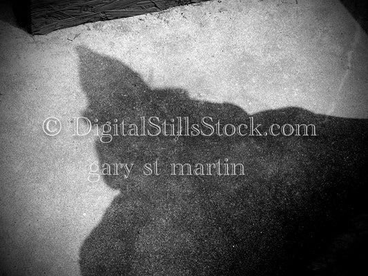 The Tin Man Rises Again, digital shadow art