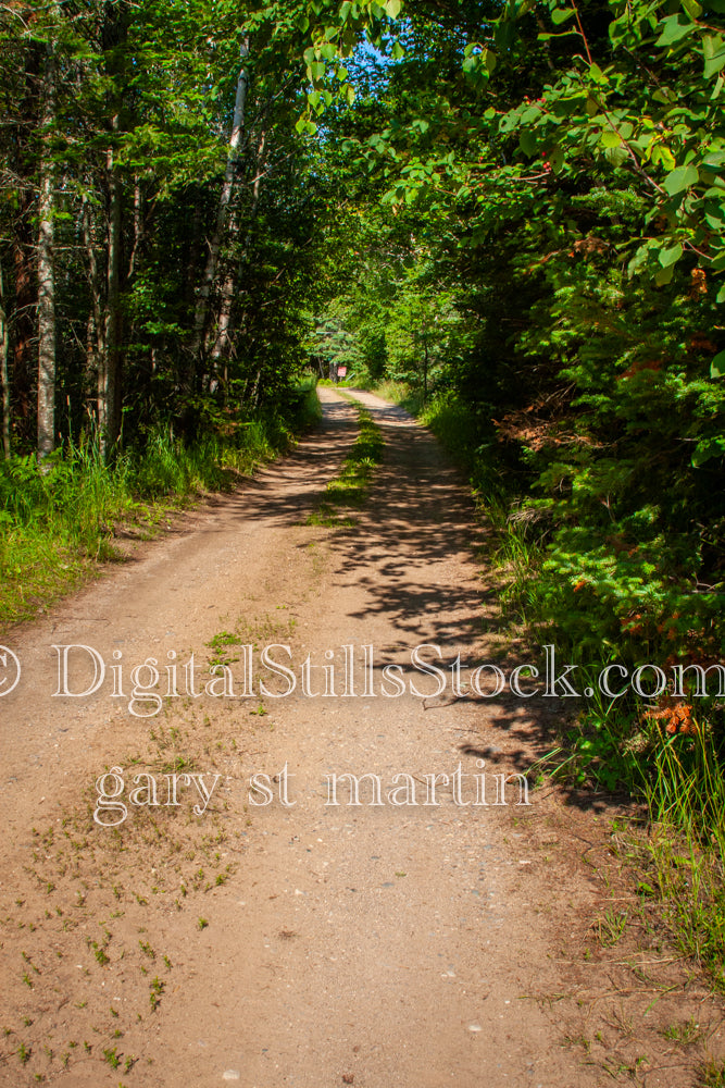 Walking on a dirt road through the trees, digital Grand Marais