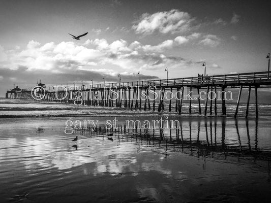 Birds Flying Towards the Pier in Black and White - Imperial Beach Pier, digital Imperial beach pier