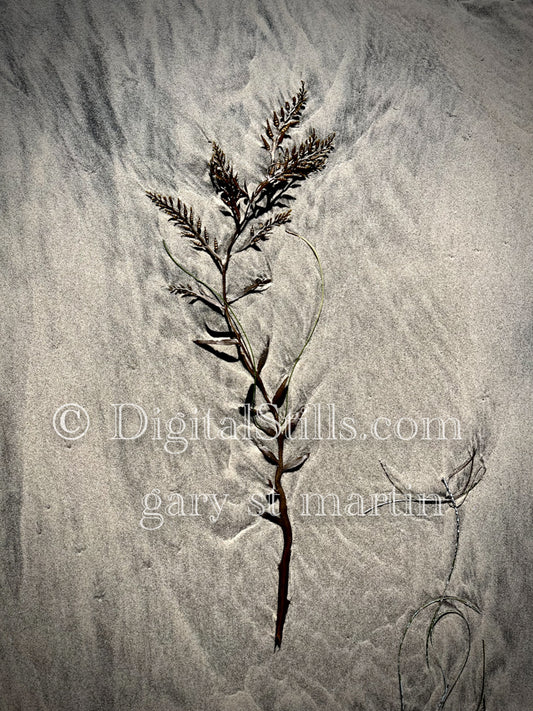 Leaf imprint in the sand, digital sunset