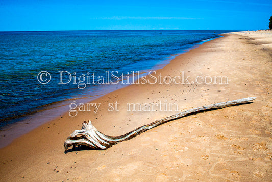 Large piece of Driftwood on the sand, digital Grand mArais