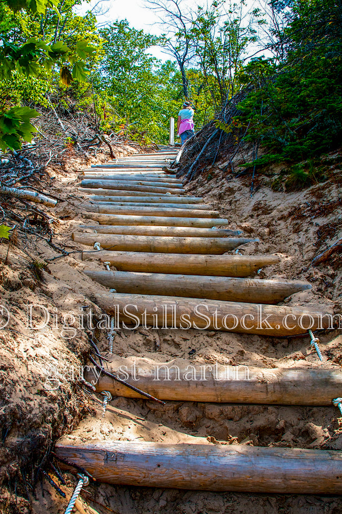 Walking up wooden steps, digital Grand MArais