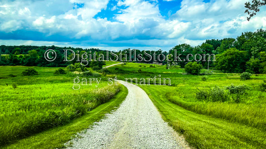 Going down a dirt road in a big green field, digital Lower Michigan