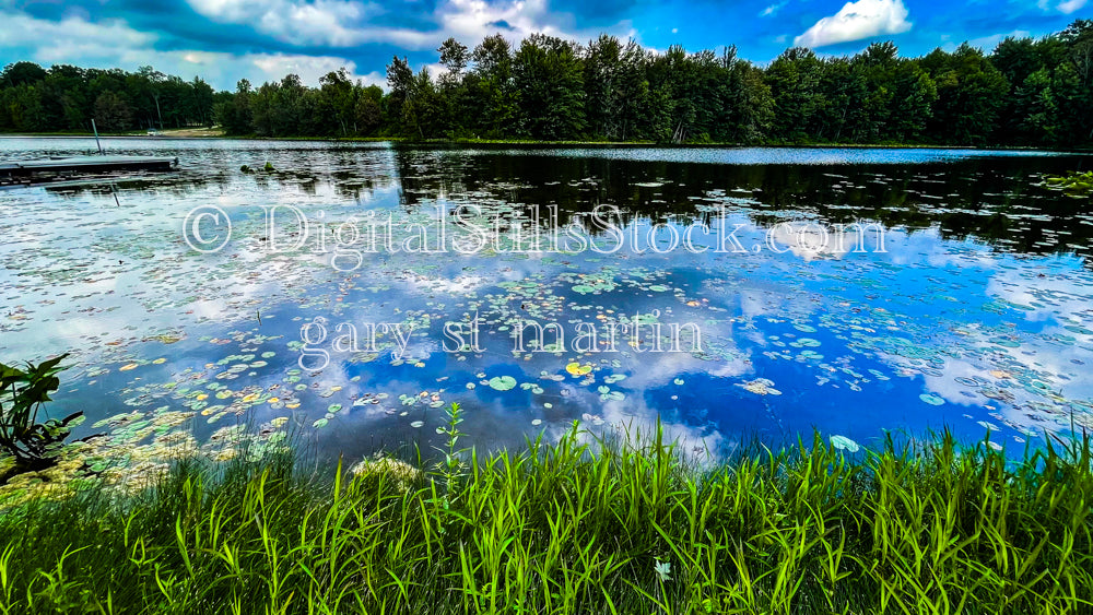 Looking at the lily pads on Half Moon Lake, digital Lower Michigan