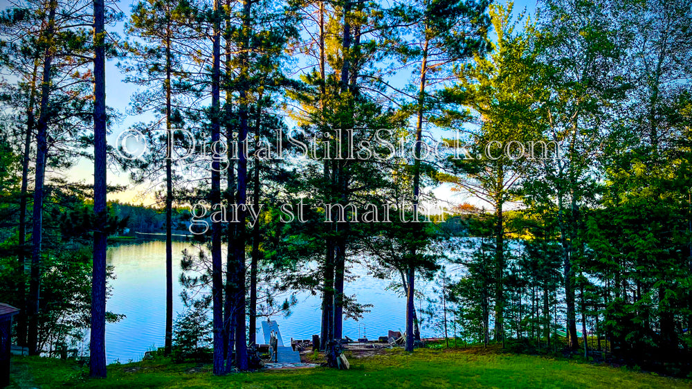 Pine trees along the Lost Lake shore, digital Munising