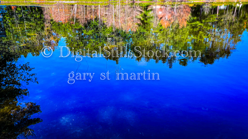 Trees reflecting on the water, digital Munising