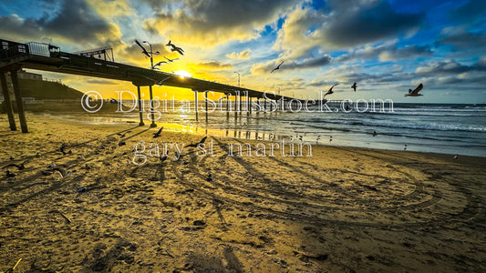 Seagulls Flying Low - Mission Beach Pier, digital Mission beach pier