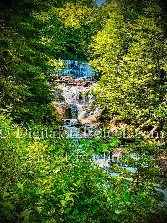 View of Sable Falls Surrounded by Green Foliage, digital Grand Marais