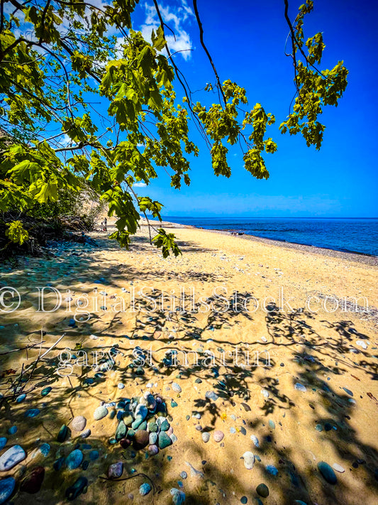 The Sand, and branches along Lake Superior, digital Grand mArais