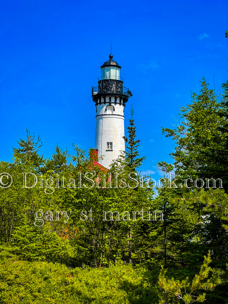 Portrait of the top of Sable Lighthouse peaking through the trees, digital Grand Marais