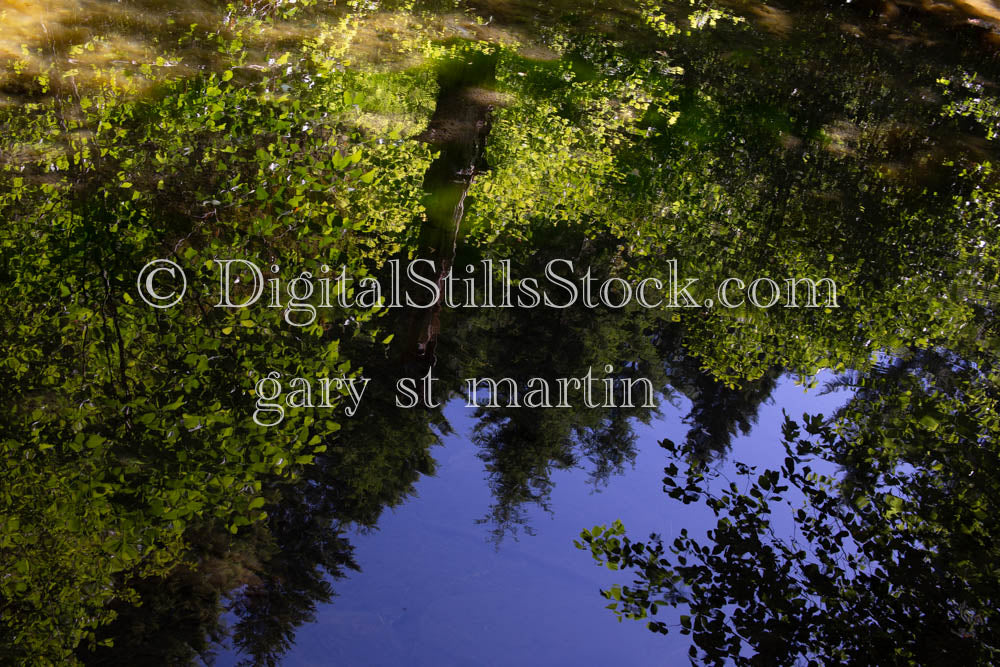 McKenzie River Blue Sky Reflection Oregon 
