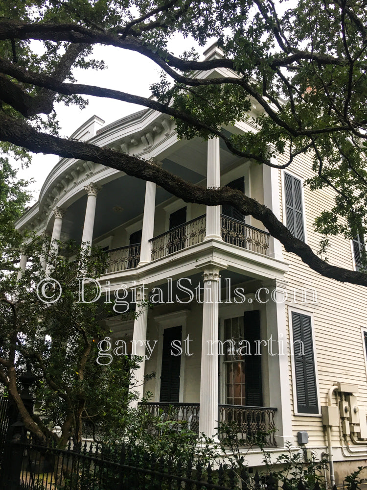 House shrouded in tree branches, New Orleans, Digital