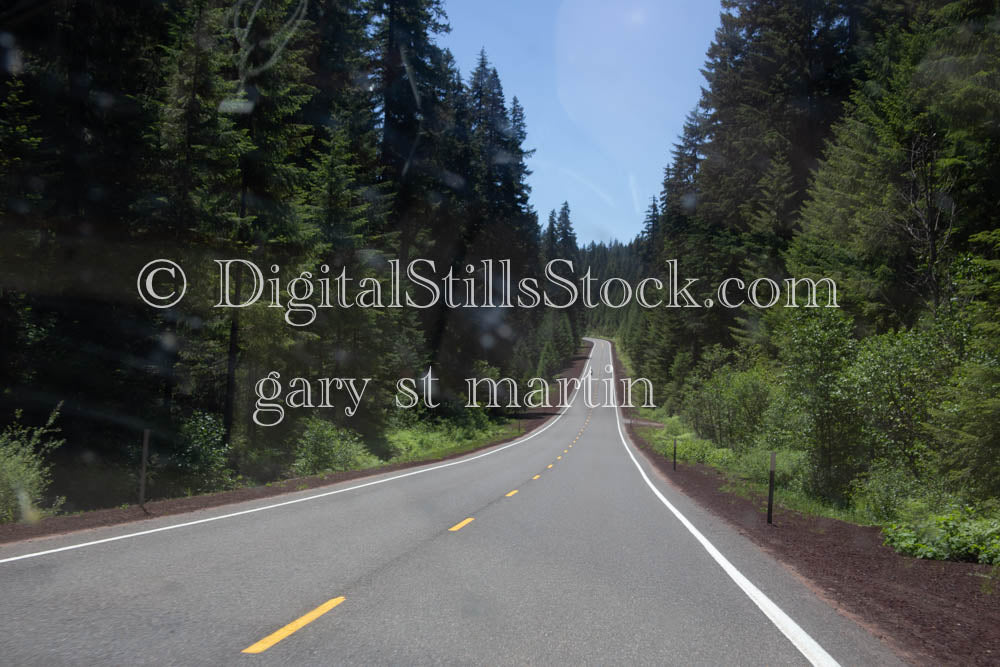 Long and Winding Oregon Road