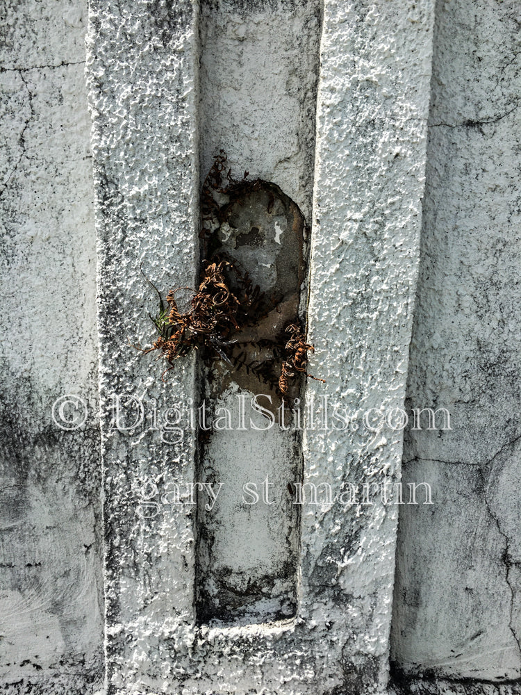 New Orleans Cemetery 11, New Orleans, Digital