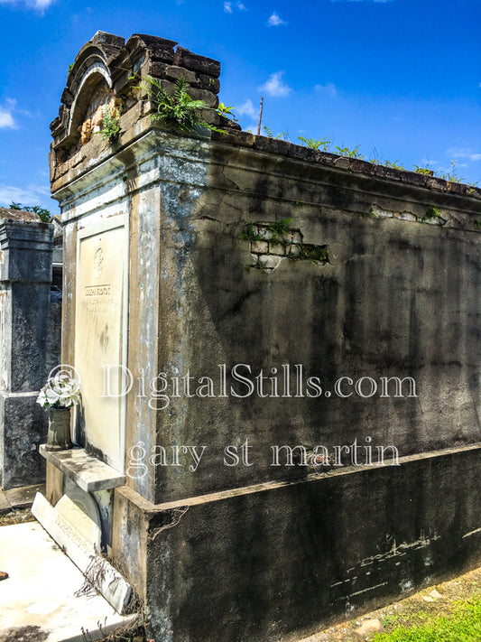 New Orleans Cemetery 12, New Orleans, Digital