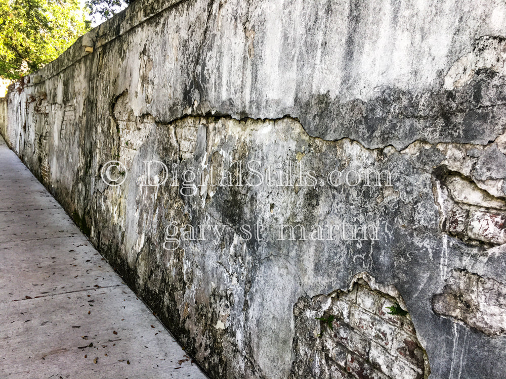 Brick Exposed Wall, New Orleans, Digital