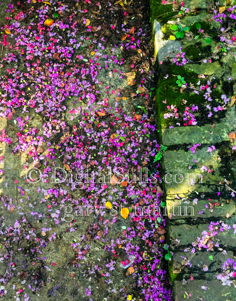 Purple Blossoms over moss and brick, New Orleans, Digital