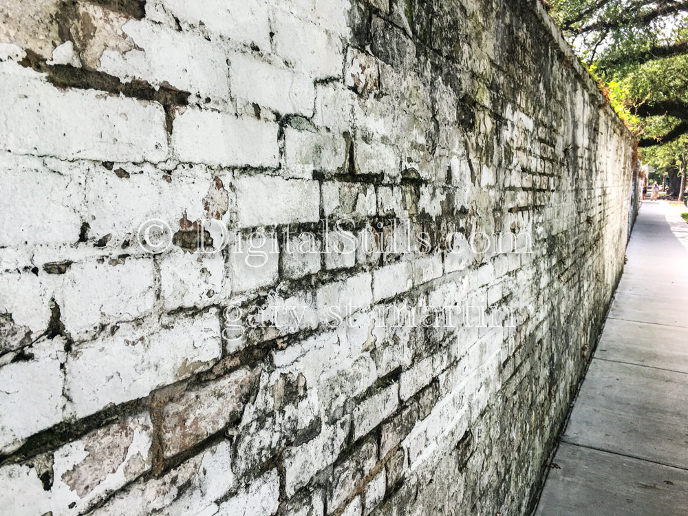 White Brick Wall Exposed, New Orleans, Digital