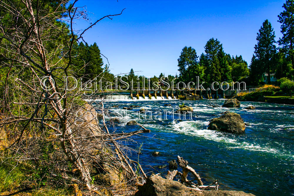 View of Steidl Dam from the Brush, Deschutes River, Digital, Oregon