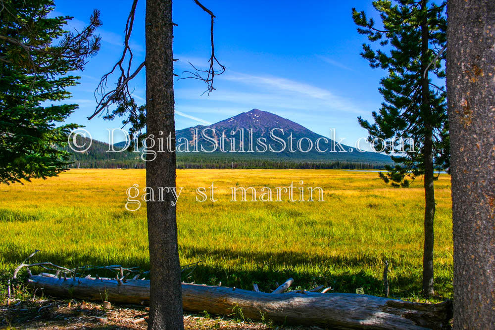 South Sister View from Field, Digital, Oregon