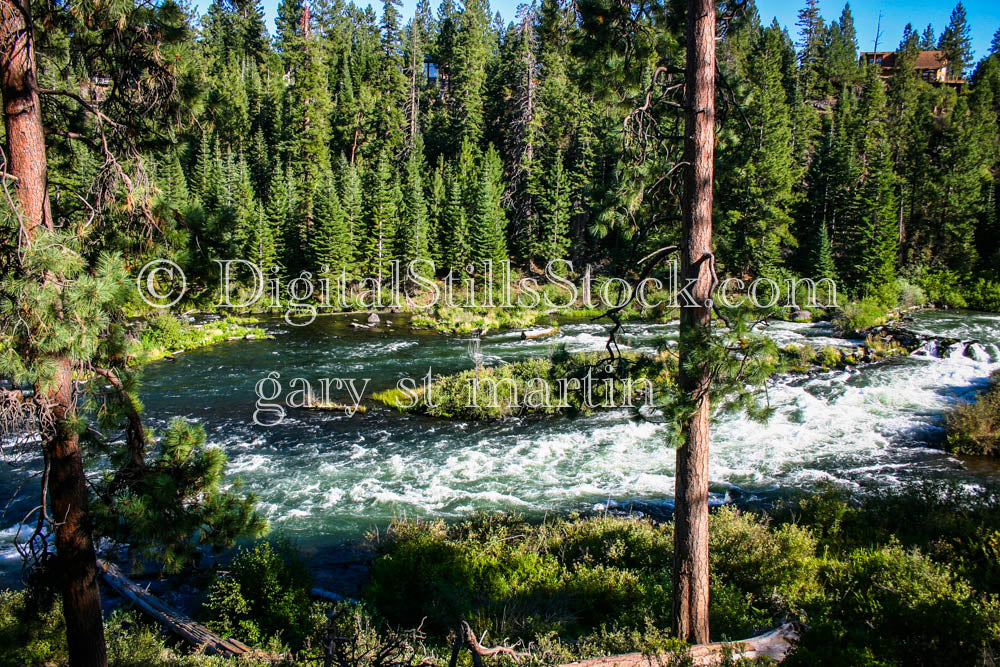 McKenzie River, Oregon