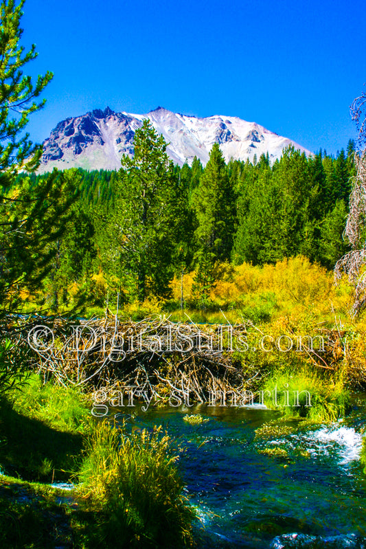 Creek In Lassen Volcanic National Park, CA V2, Digital, California, Lassen