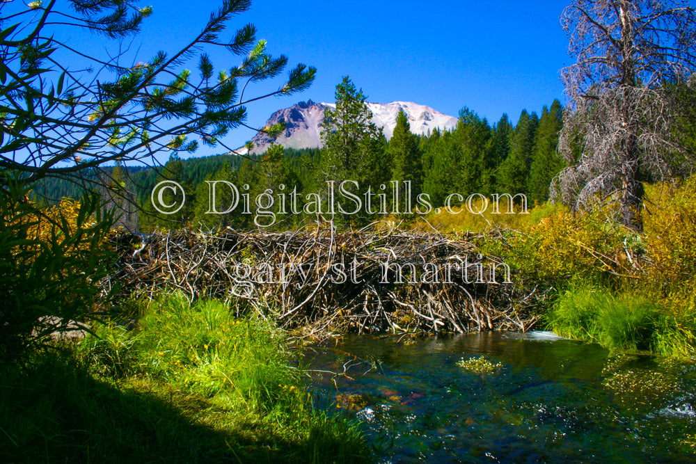 Beaver Dam In Lassen Volcanic National Park, CA V2, Digital, California, Lassen