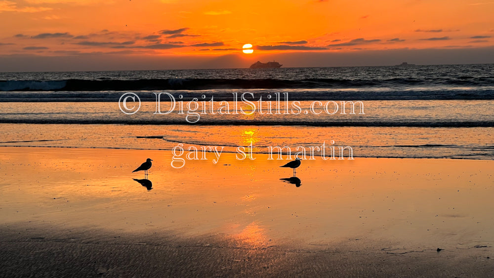 Two birds on the beach, digital sunset