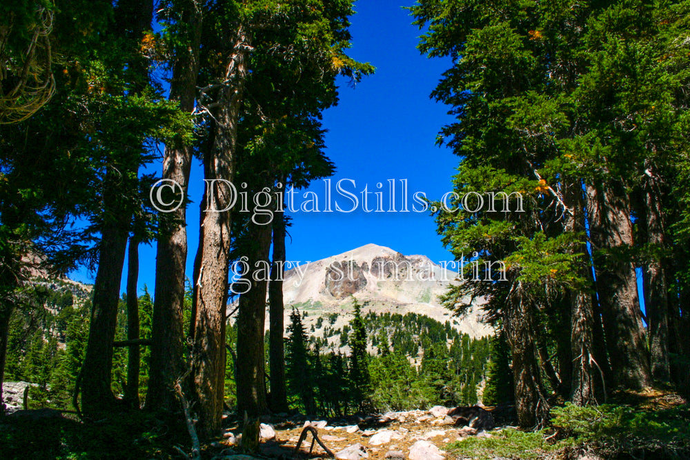 Trees & Rock View Of Lassen Volcanic National Park, CA, Digital, California, Lassen