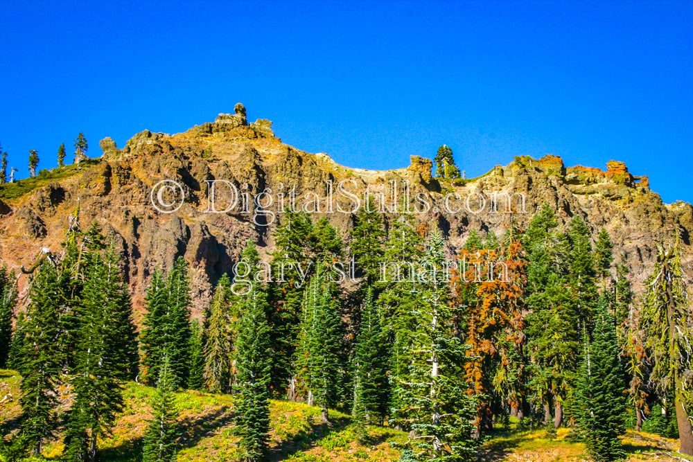 Closeup Road To Lassen Volcanic National Park, CADigital, California, Lassen