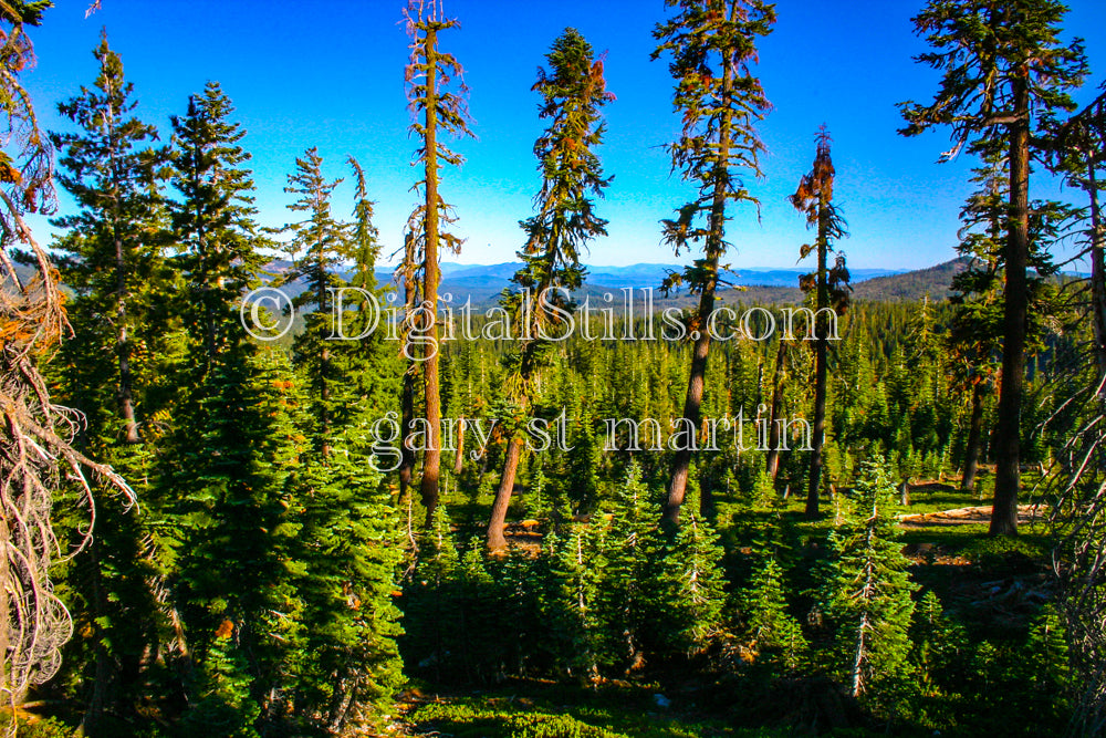 Sun Sets In Lassen Volcanic National Park, n, California, Lassen