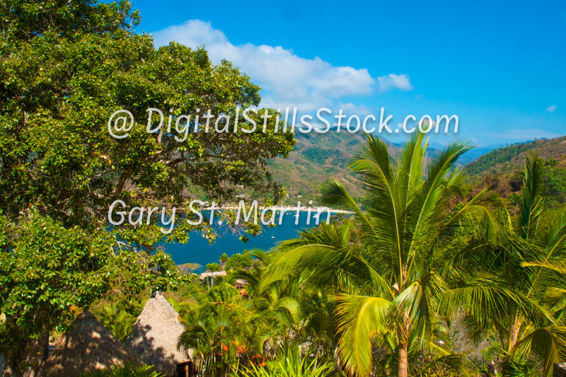 Side Harbor View with Trees Foreground, Yelapa, Mexico, digital