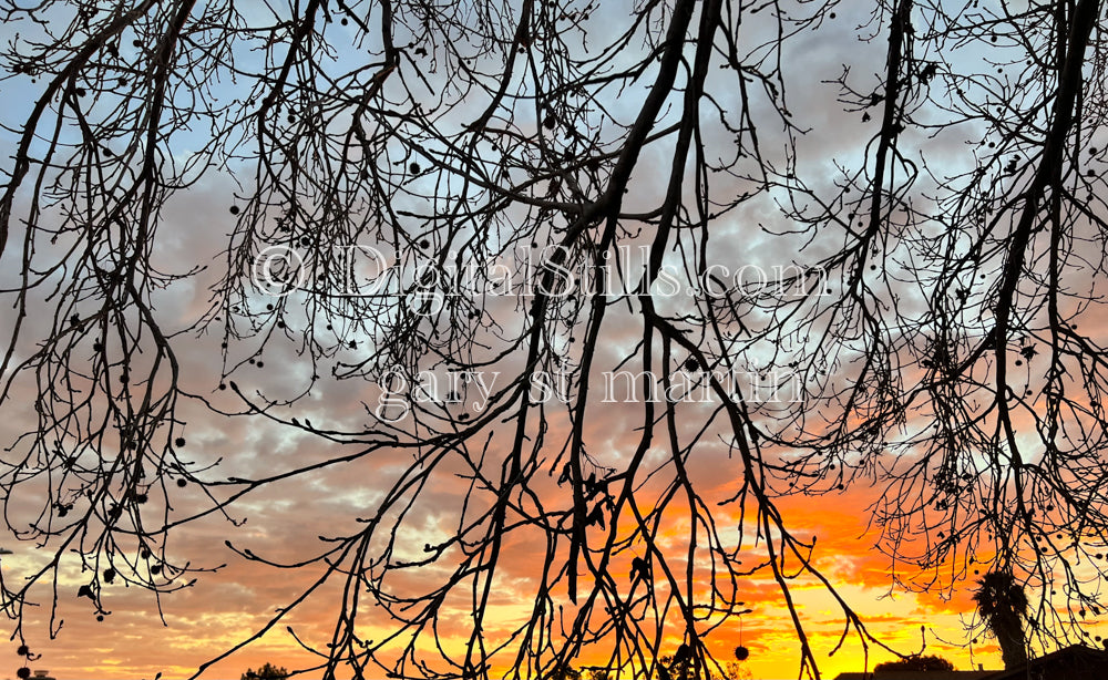 Twilight Tapestry, digital sunset