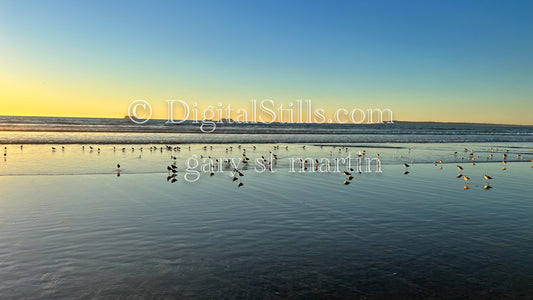 Tranquility by the Tides, digital sunset