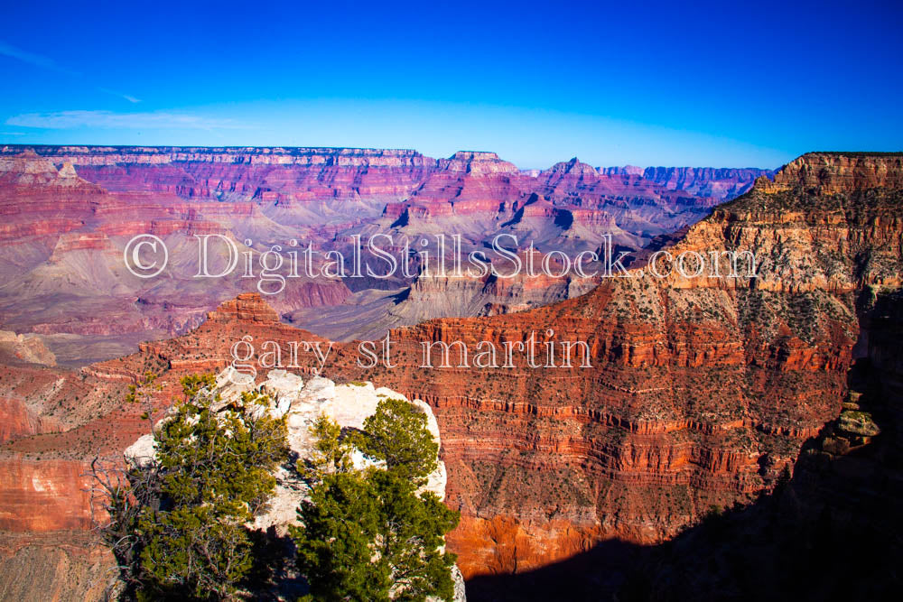 White rock in Foreground White Rock Center, Digital, Arizona, Grand Canyon