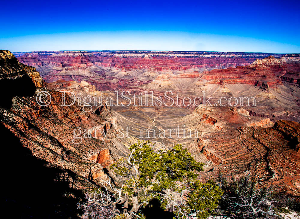 Basin Juxtaposition, Evergreen Foreground, Digital, Arizona, Grand Canyon