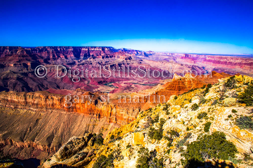 Purple, Orange, New Growth Foreground, Digital, Arizona, Grand Canyon