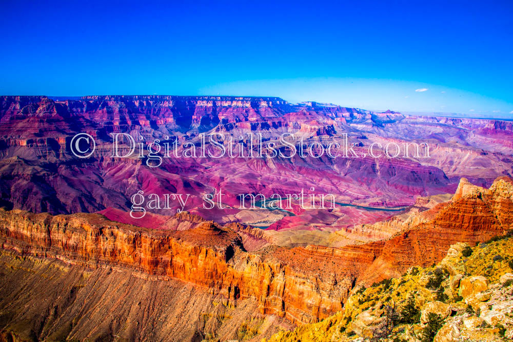 Purple, Orange, New Growth Foreground Zoom Out, Digital, Arizona, Grand Canyon