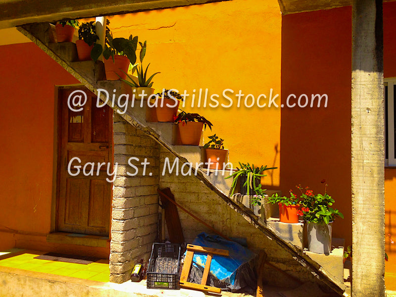 Potted Plants along staircase, Yelapa, Mexico, digital